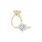 Diana Round Solitaire Pave Ring (6 Prong) YG (Both) - Éclat by Oui
