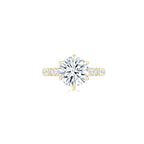 Diana Round Solitaire Pave Ring (6 Prong) WG (Front) - Éclat by Oui