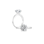 Éclat Classic Round Solitaire Plain Ring (4 Prong) WG (Both) - Éclat by Oui