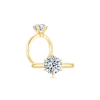 Éclat Classic Round Solitaire Plain Ring (6 Prong) YG (Both) -Éclat by Oui