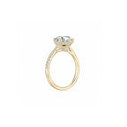 Maya Round Solitaire Pave Ring (6 Prong) YG (Side) - Éclat by Oui