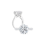 Diana Round Solitaire Pave Ring (4 Prong) WG (Both) - Éclat by Oui