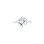 Diana Round Solitaire Pave Ring (6 Prong) WG (Front) - Éclat by Oui