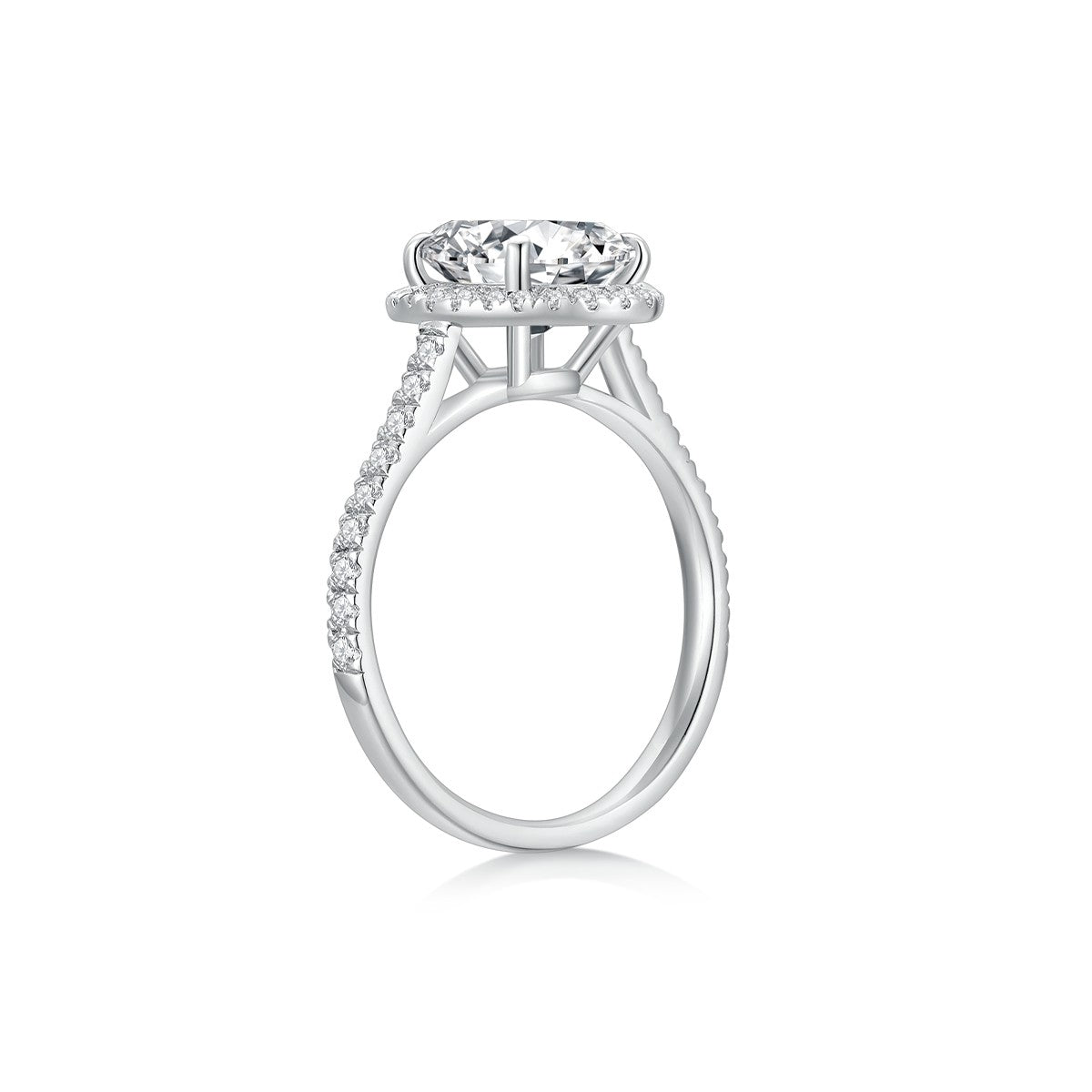 Aria in Pink Ring (Sample)