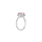 Desiree in Pink Ring (Sample)