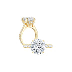 Diana Round Solitaire Pave Ring (4 Prong) YG (Both) - Éclat by Oui