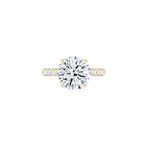 Diana Round Solitaire Pave Ring (4 Prong) YG (Front) - Éclat by Oui