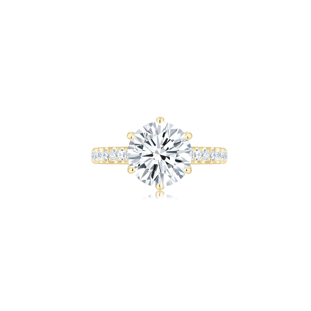 Diana Round Solitaire Pave Ring (6 Prong) WG (Front) - Éclat by Oui