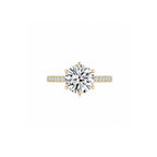 Maya Round Solitaire Pave Ring (6 Prong) YG (Front) - Éclat by Oui