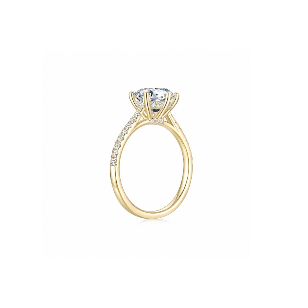 Maya Round Solitaire Pave Ring (6 Prong) YG (Side) - Éclat by Oui