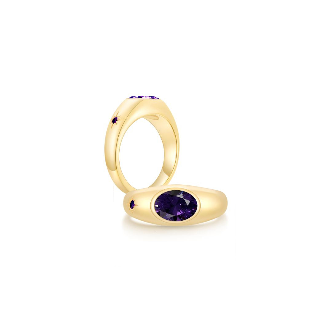 Twinlight Oval Signet Ring Both YG (Feb, Feb) - Eclat by Oui