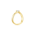 Wave Marquise Ring (Side) YG - Éclat by Oui