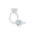 Diana Round Solitaire Pave Ring (6 Prong) WG (Both) - Éclat by Oui