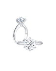 Éclat Classic Solitaire Ring both - Eclat by Oui